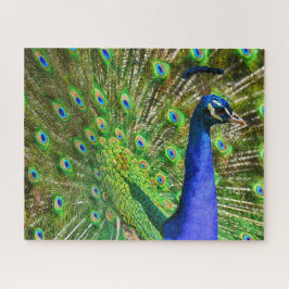 Quebra-cabeça Brilhante de Peacock Azul