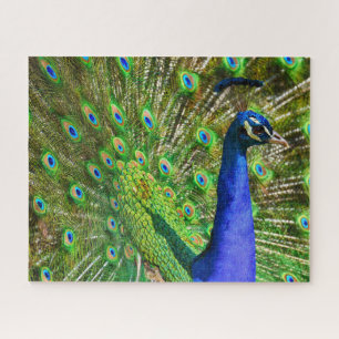 Quebra-cabeça Brilhante de Peacock Azul