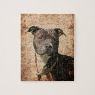 Quebra-cabeça Brilho e Pitbull branca