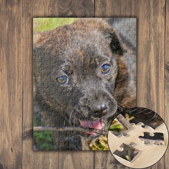 Quebra-cabeça Brindle Puppy Mascando no Turno (Brindle Puppy Chewing on Twig Jigsaw Puzzle)