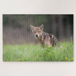 Quebra-cabeça Brown Coyote, Fotografia Canadiana de Vida Selvage