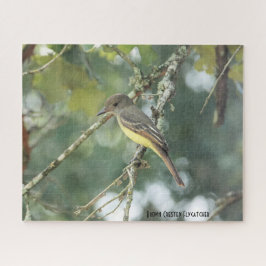 Quebra-cabeça Brown Crested Flycatcher, amante de pássaros