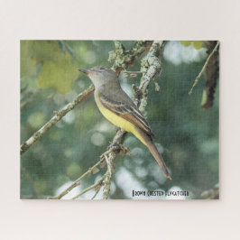 Quebra-cabeça Brown Crested Flycatcher, amante de pássaros