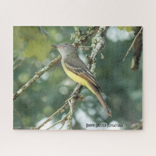 Quebra-cabeça Brown Crested Flycatcher, amante de pássaros