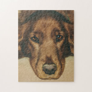 Quebra-cabeça Brown Eyed o cão irlandês dourado