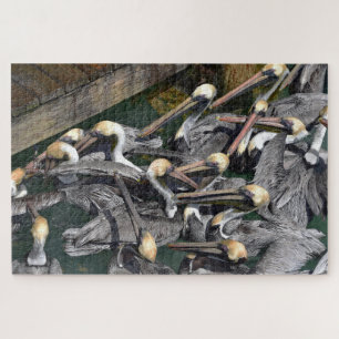 Quebra-cabeça Brown Pelican Crowd, Florida
