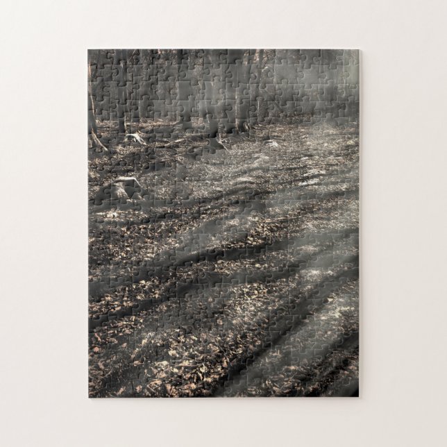 Quebra-cabeça Bruxa de Blair….ali! (Vertical)