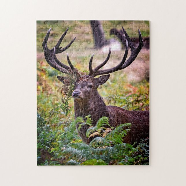 Quebra-cabeça Buck no Parque Richmond - 11x14 - 252 peças (Vertical)