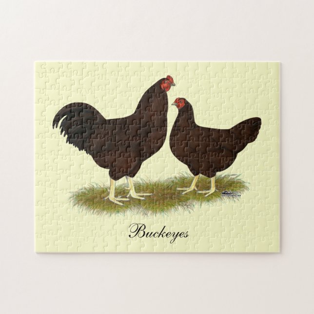 Quebra-cabeça Buckeye Chickens (Horizontal)