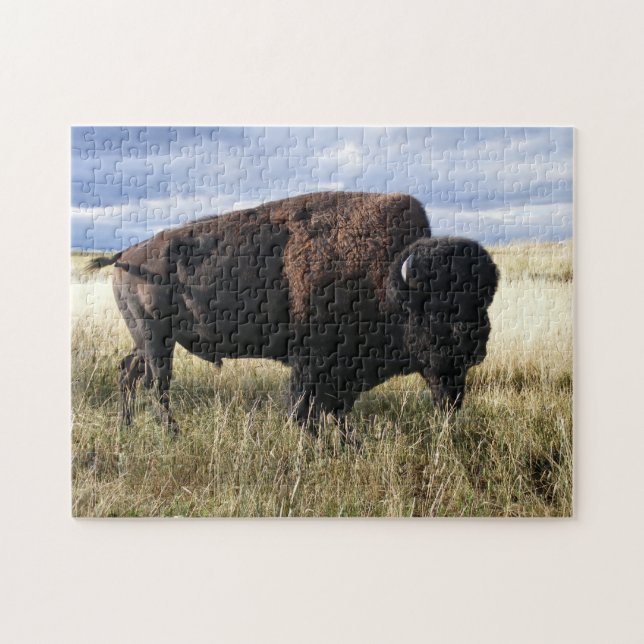 Quebra-cabeça Búfalo Bull (Horizontal)