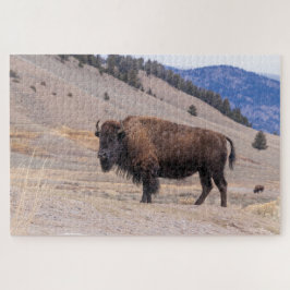 Quebra-cabeça Buffalo Bison American Willife