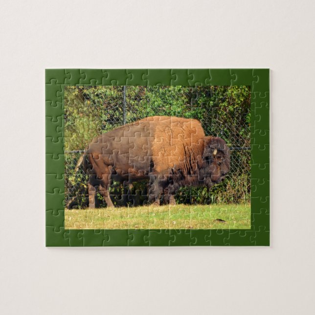 Quebra-cabeça Buffalo (Bison) Kansas, Oklahoma, Wyoming (Horizontal)
