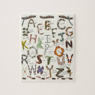 Quebra-cabeça Bug Alphabet Puzzle \ Insect ABCs