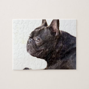 Quebra-cabeça Buldogue francês