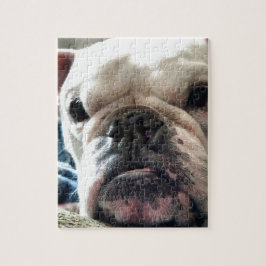 Quebra-cabeça Buldogue inglês
