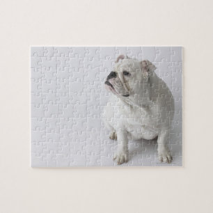 Quebra-cabeça Buldogue inglês branco