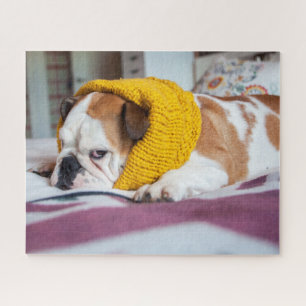 Quebra-cabeça Buldogue inglês das imagens de Getty