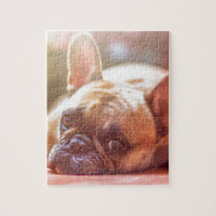 Quebra-cabeça Buldogue Pet Francês
