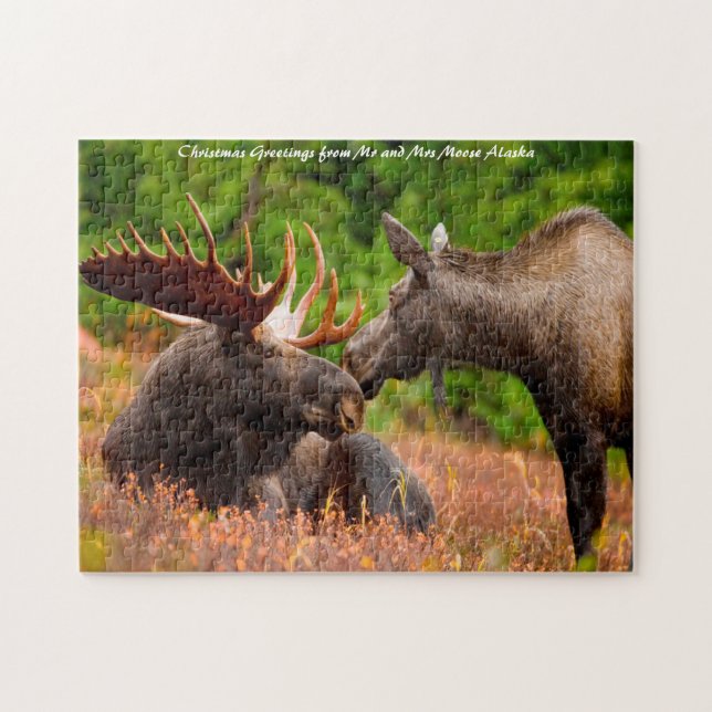 Quebra-cabeça Bull e Cow Moose Alaska. Cartões de natal (Horizontal)