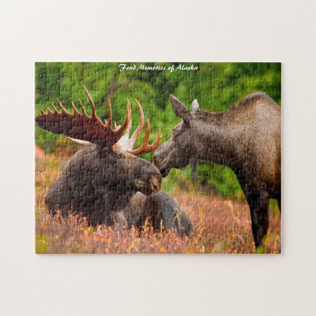 Quebra-cabeça Bull e Cow Moose Alaska. Cartões de natal Jig (Horizontal)