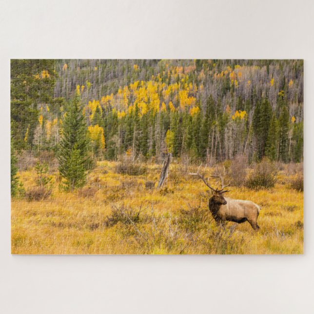 Quebra-cabeça Bull Elk | Rocky Mountain National Park Colorado (Horizontal)