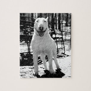 Quebra-cabeça Bull terrier