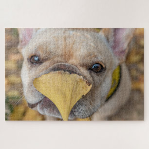 Quebra-cabeça Bulldog Francês Adorável
