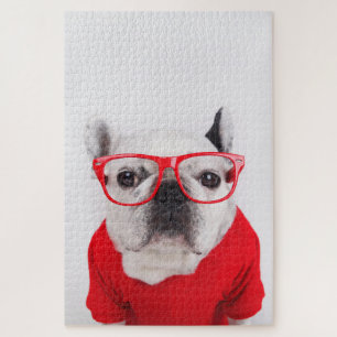 Quebra-cabeça Bulldog francês com óculos e saia