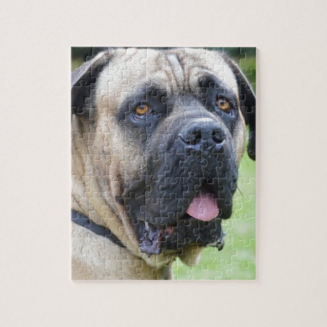 Quebra-cabeça Bullmastiff (Vertical)