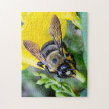 Bumble a abelha