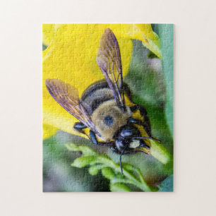 Quebra-cabeça Bumble a abelha
