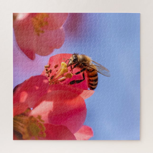 Quebra-cabeça Bumble Bee em Quince (Vertical)