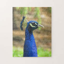 Quebra-cabeça - Cabeça de Peacock Azul
