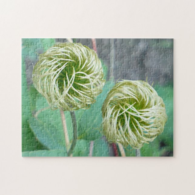 Quebra-cabeça Cabeça de Semente Clematis (Horizontal)