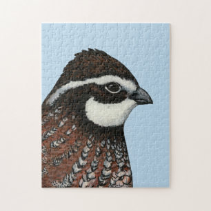 Quebra-cabeça Cabeçalho Bobwhite
