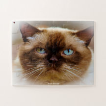 Cabelo Curto Britânico