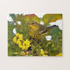 Quebra-cabeça Cabo May Warbler Songbird com Mahonia Flor