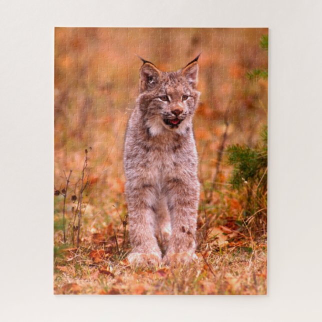 Quebra-cabeça Caça de Lince | Floresta de Outono (Vertical)