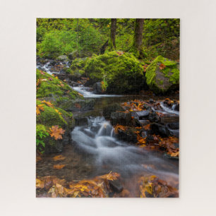 Quebra-cabeça Cachoeira Starvation Creek Columbia Gorge, Orego