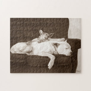 Quebra-cabeça cachorrinho branco-americano