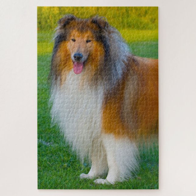 Quebra-cabeça Cachorro Alto Collie Jigsaws. (Vertical)