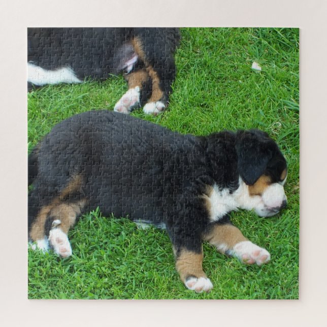 Quebra-cabeça cachorro, animal de estimação, fofo, animal, raça, (Vertical)