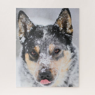 Quebra-cabeça Cachorro azul de Heeler na neve