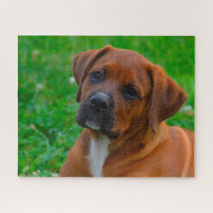 Quebra-cabeça Cachorro Boxer