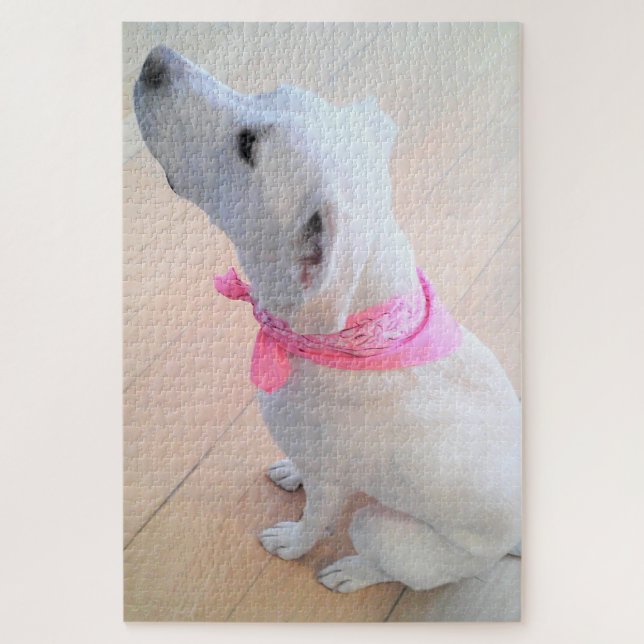 Quebra-cabeça Cachorro Branco Bonito Vestindo Scarf Rosa (Vertical)
