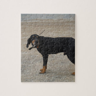 Quebra-cabeça Cachorro Caçador Cansado