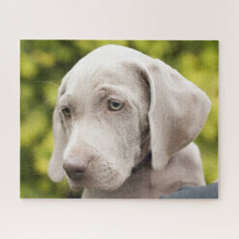 Quebra-cabeça Cachorro-Cachorro-Cachorro