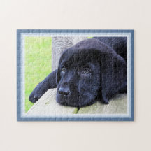 Cachorro Cachorro Labrador Negro Cachorro Cachorro