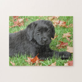 Quebra-cabeça Cachorro Cachorro Negro-Labrador-Retriever