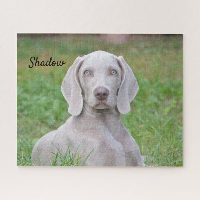 Quebra-cabeça Cachorro-Cachorro Personalizado do Weimaraner (Horizontal)